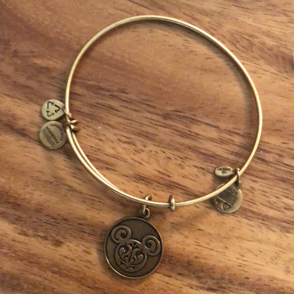 Rare Alex and Ani bracelet